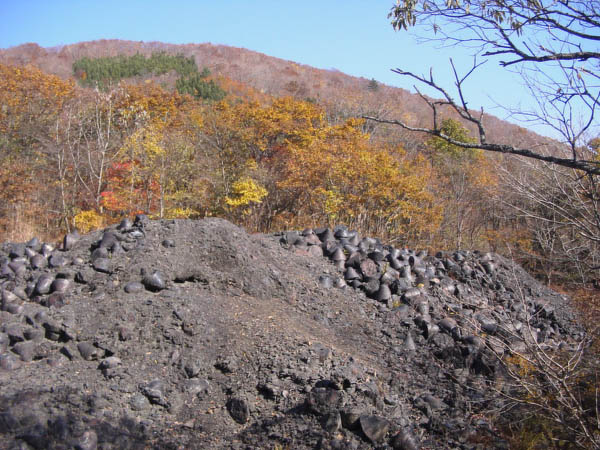 f:id:doublet:20051105130124j:image f:id:doublet:20051105130124j:image