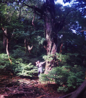 f:id:doublet:20051125193227j:image
