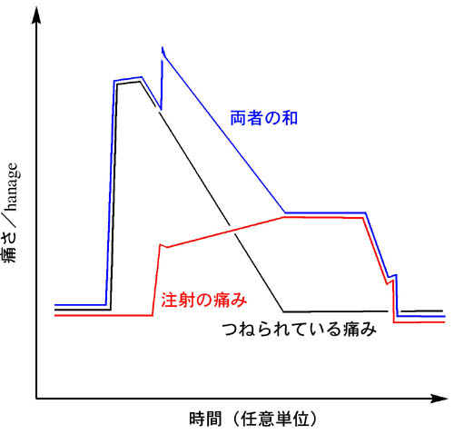 f:id:doublet:20051201125147j:image