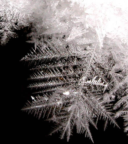 f:id:doublet:20051205062821j:image f:id:doublet:20051205062821j:image