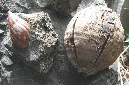 f:id:doublet:20051224200107j:image