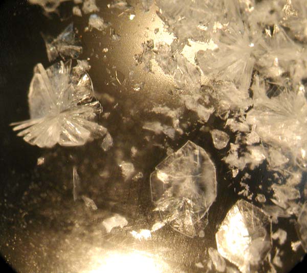 f:id:doublet:20060427224444j:image