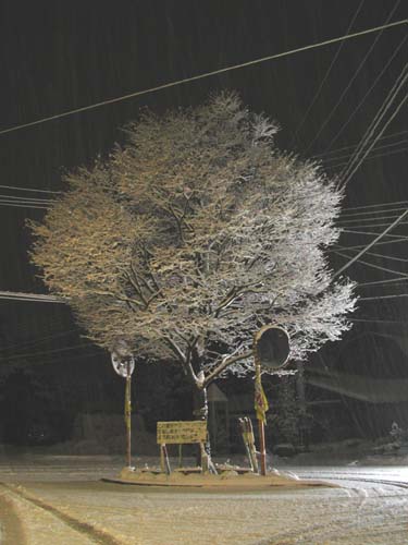 f:id:doublet:20060430221233j:image f:id:doublet:20060430221233j:image