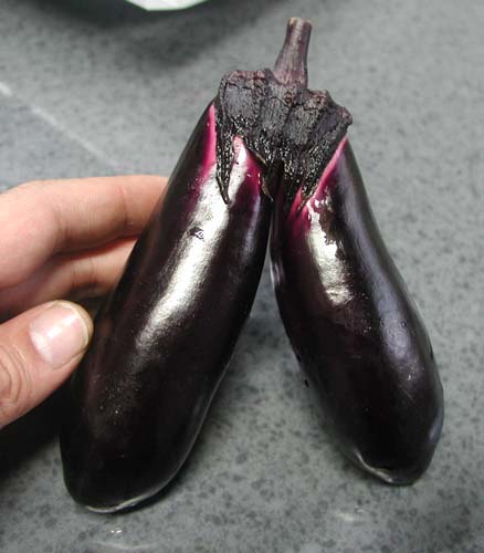 f:id:doublet:20060710115539j:image f:id:doublet:20060710115539j:image