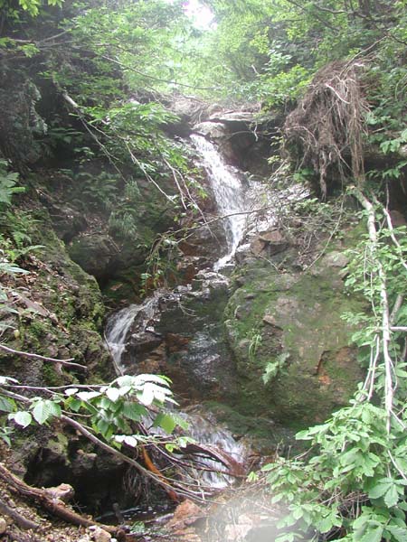 f:id:doublet:20060731181104j:image