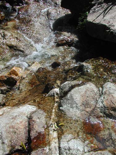 f:id:doublet:20060731181808j:image