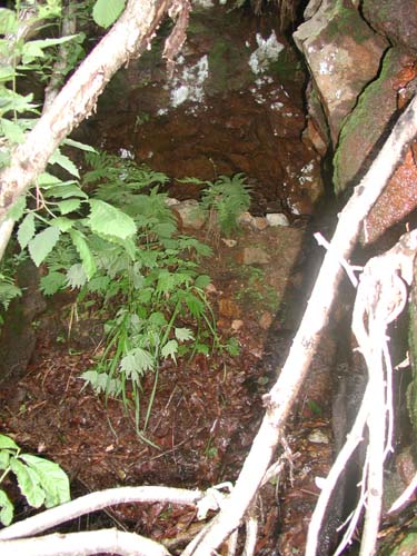 f:id:doublet:20060731181908j:image