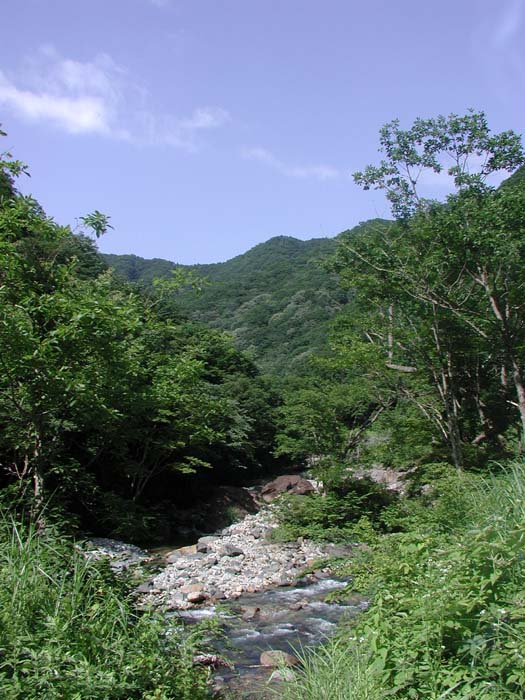 f:id:doublet:20060731182053j:image