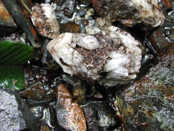 f:id:doublet:20060807184155j:image