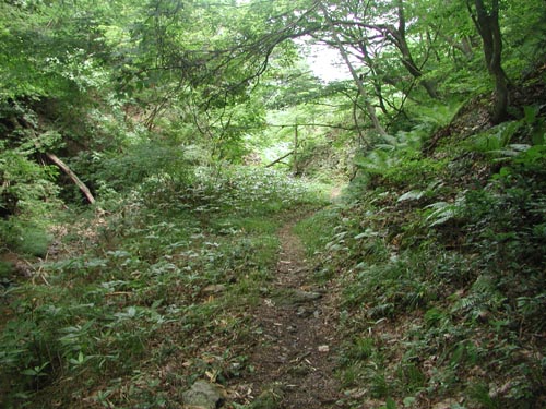 f:id:doublet:20060821123455j:image f:id:doublet:20060821123455j:image