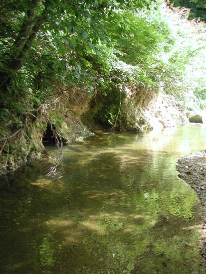 f:id:doublet:20060821130112j:image