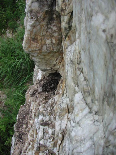 f:id:doublet:20060821130231j:image f:id:doublet:20060821130231j:image