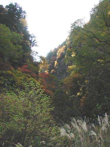 f:id:doublet:20061023171452j:image