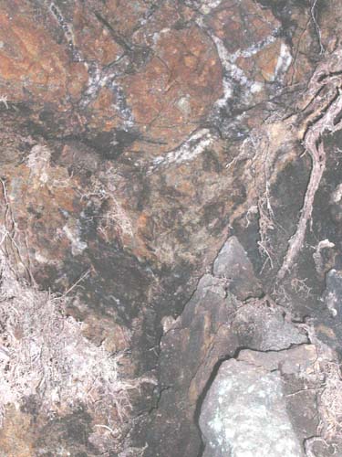 f:id:doublet:20061023172151j:image