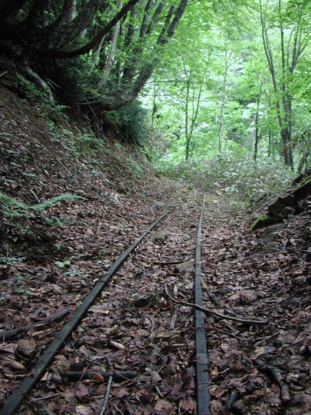 個別 トロッコレール の写真 画像 鉱山跡と産業遺跡 Doublet のピンボケ写真コーナー