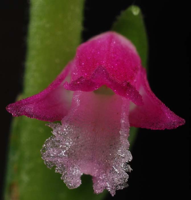 f:id:doublet:20070704210401j:image f:id:doublet:20070704210401j:image