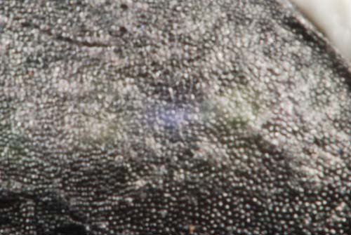 f:id:doublet:20070705191729j:image