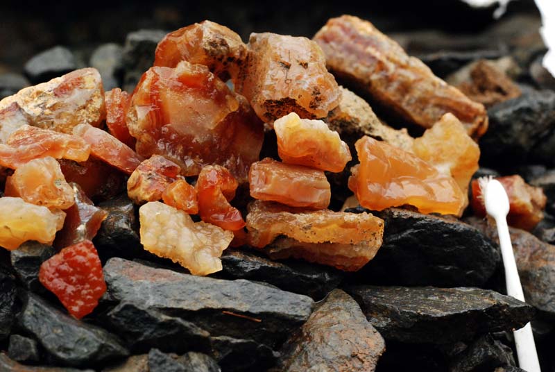 f:id:doublet:20070811074006j:image