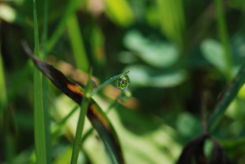 f:id:doublet:20070815100351j:image