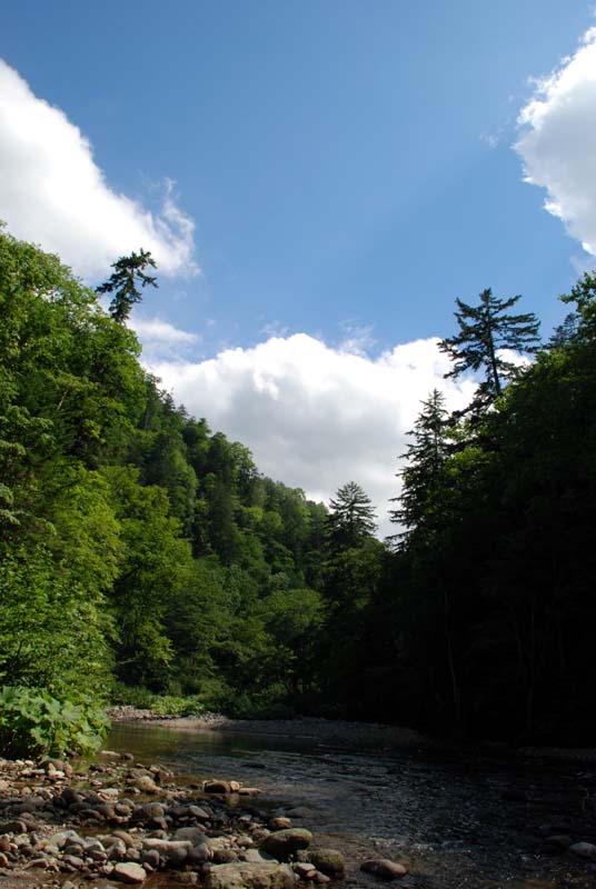 f:id:doublet:20070815133435j:image