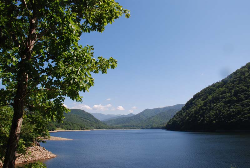 f:id:doublet:20070816093924j:image