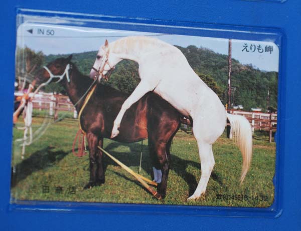 f:id:doublet:20070816114056j:image