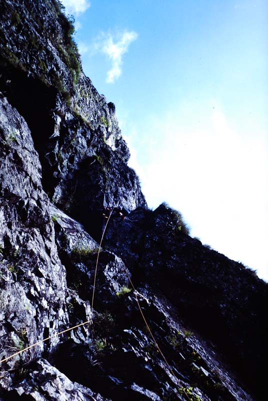 f:id:doublet:20070825000908j:image f:id:doublet:20070825000908j:image