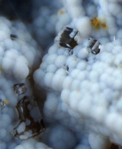 f:id:doublet:20070825211027j:image