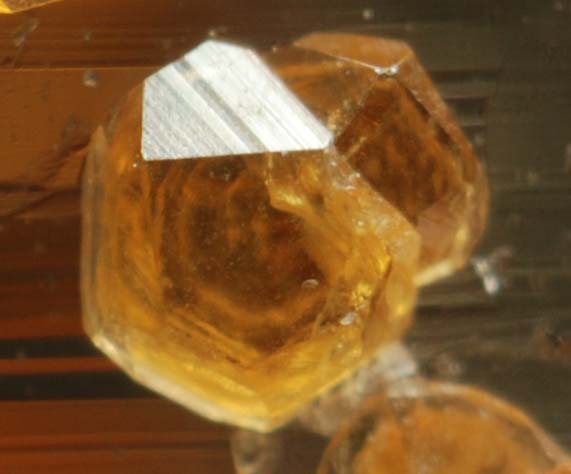 f:id:doublet:20071128231626j:image f:id:doublet:20071128231626j:image
