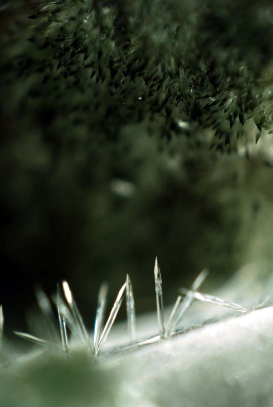 f:id:doublet:20071129235637j:image