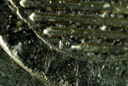 f:id:doublet:20071209003828j:image