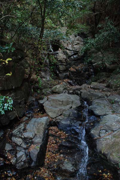 f:id:doublet:20080102222916j:image f:id:doublet:20080102222916j:image