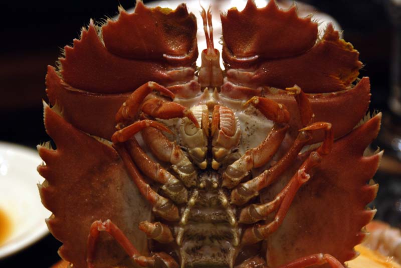 f:id:doublet:20080102224849j:image f:id:doublet:20080102224849j:image