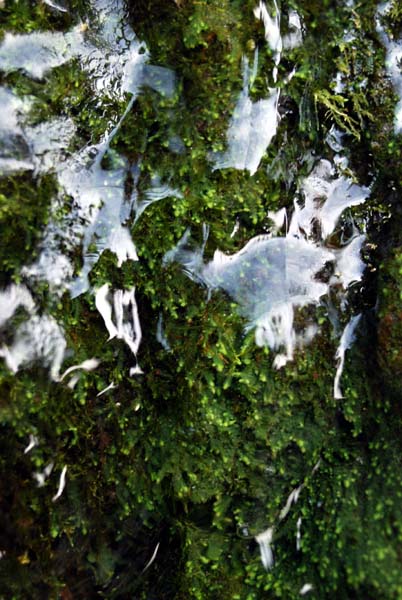 f:id:doublet:20080105111621j:image