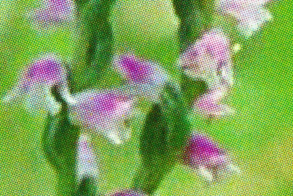 f:id:doublet:20080126194605j:image f:id:doublet:20080126194605j:image