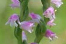 f:id:doublet:20080126202806j:image f:id:doublet:20080126202806j:image