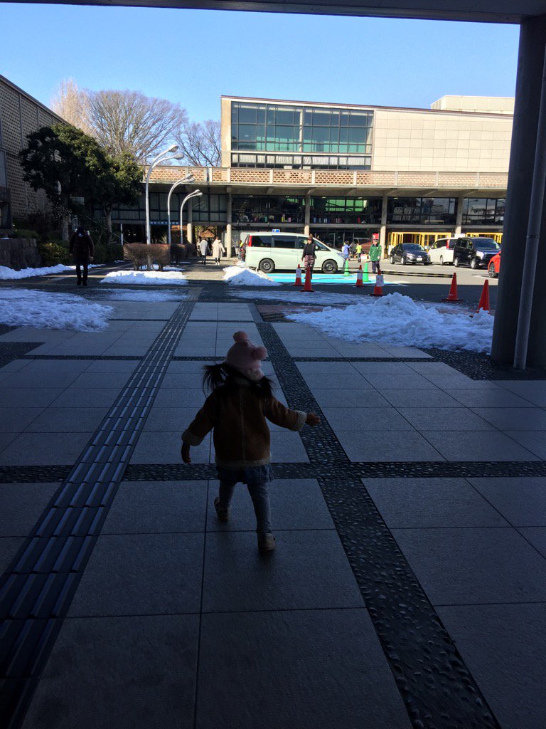 f:id:doublet:20180129142734j:image