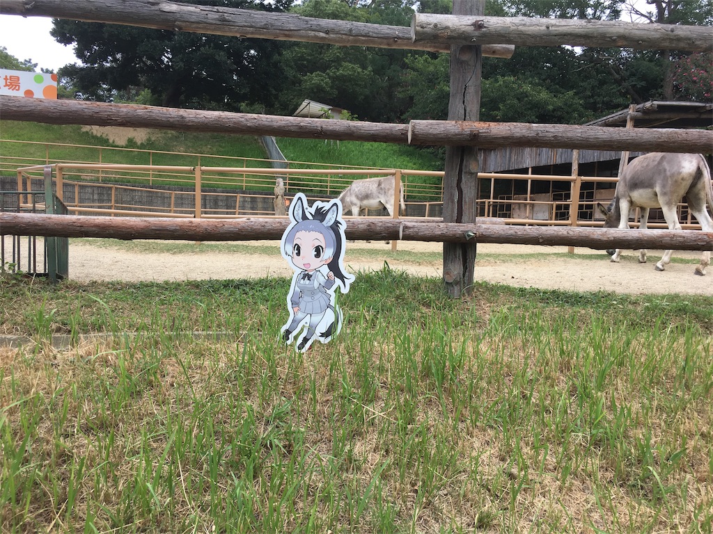 f:id:doubutsu_chin:20170928004325j:image