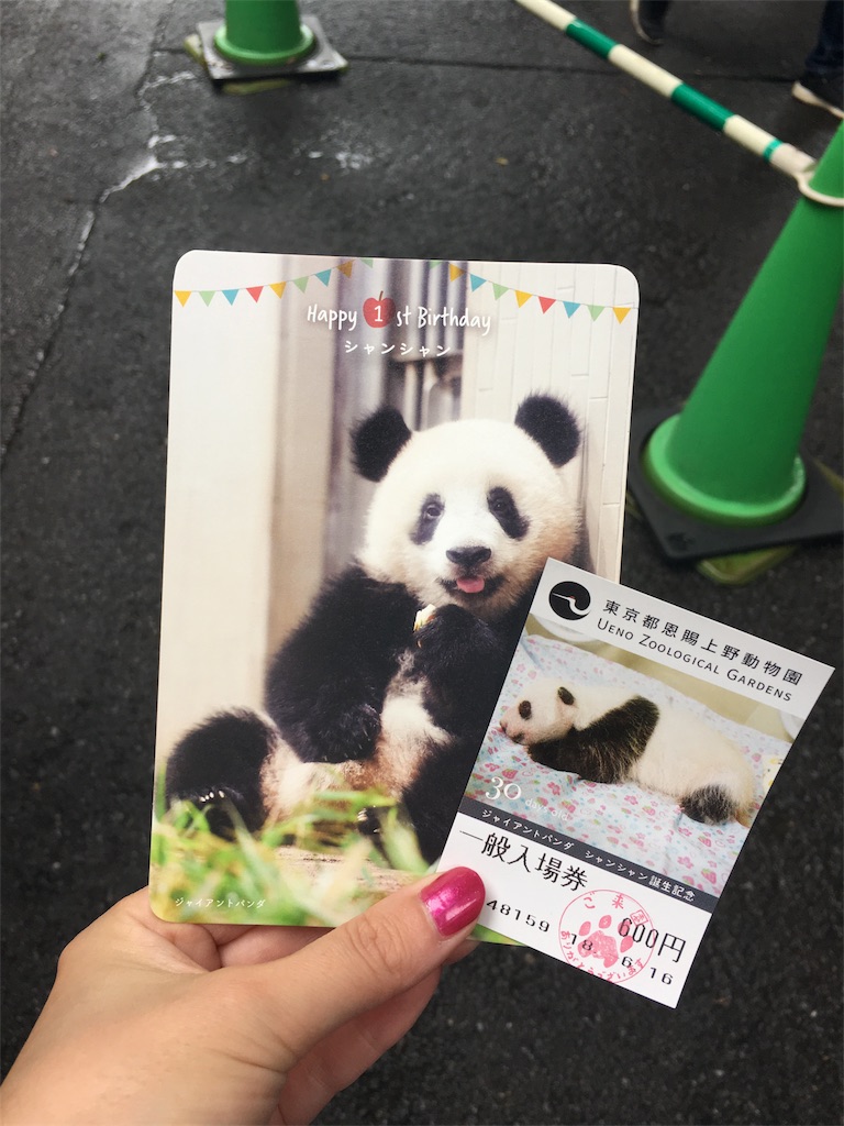 f:id:doubutsu_chin:20180619155635j:image