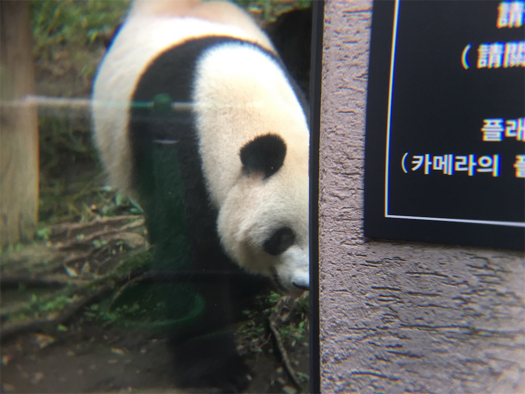 f:id:doubutsu_chin:20180619160252j:image