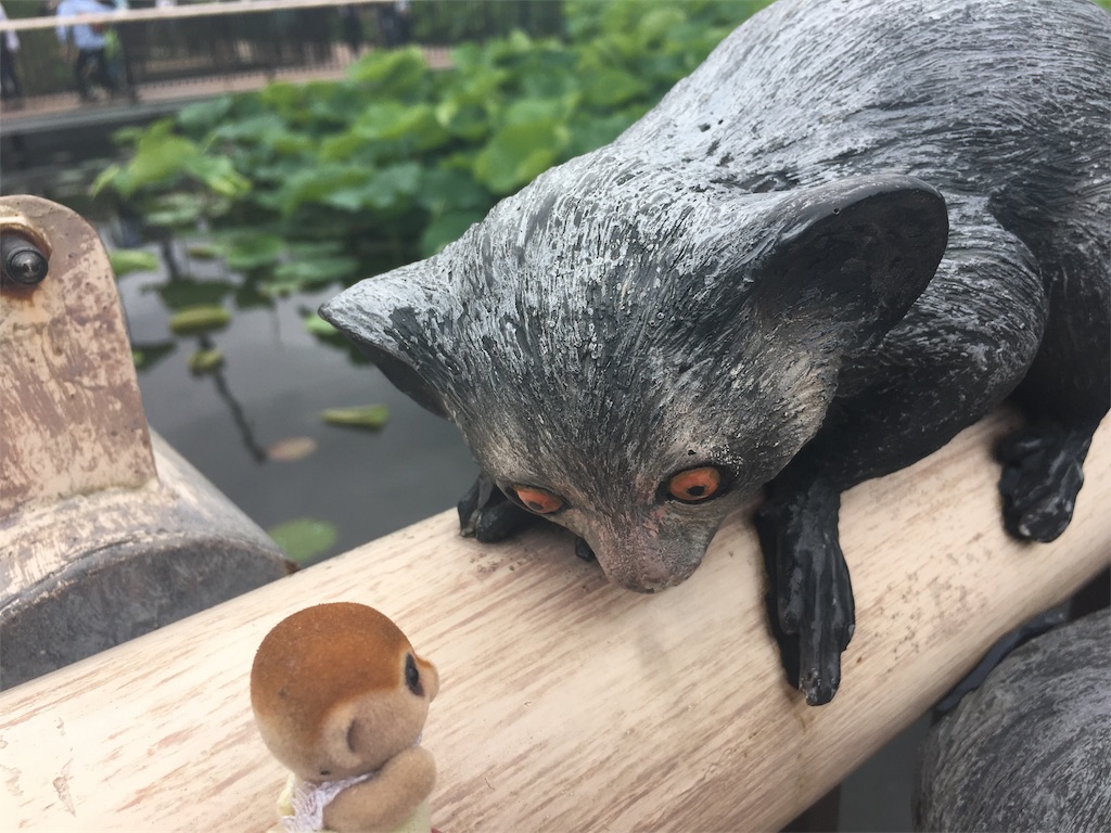 f:id:doubutsu_chin:20180619161733j:image