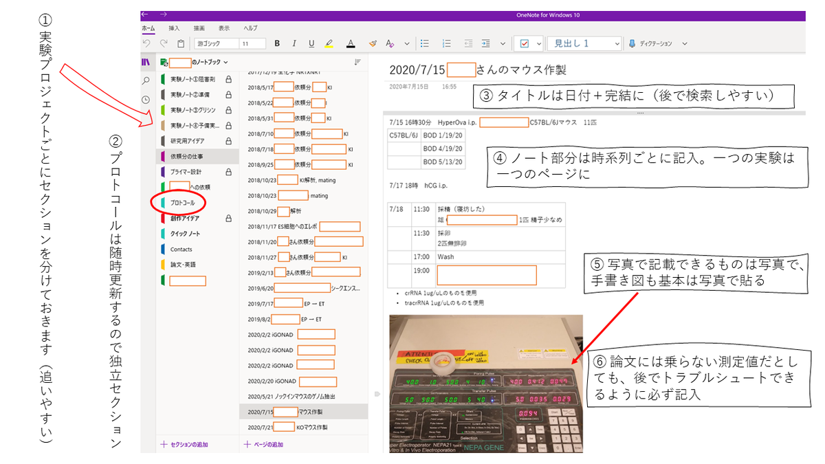 f:id:doubutsutokuron:20200814084949p:plain