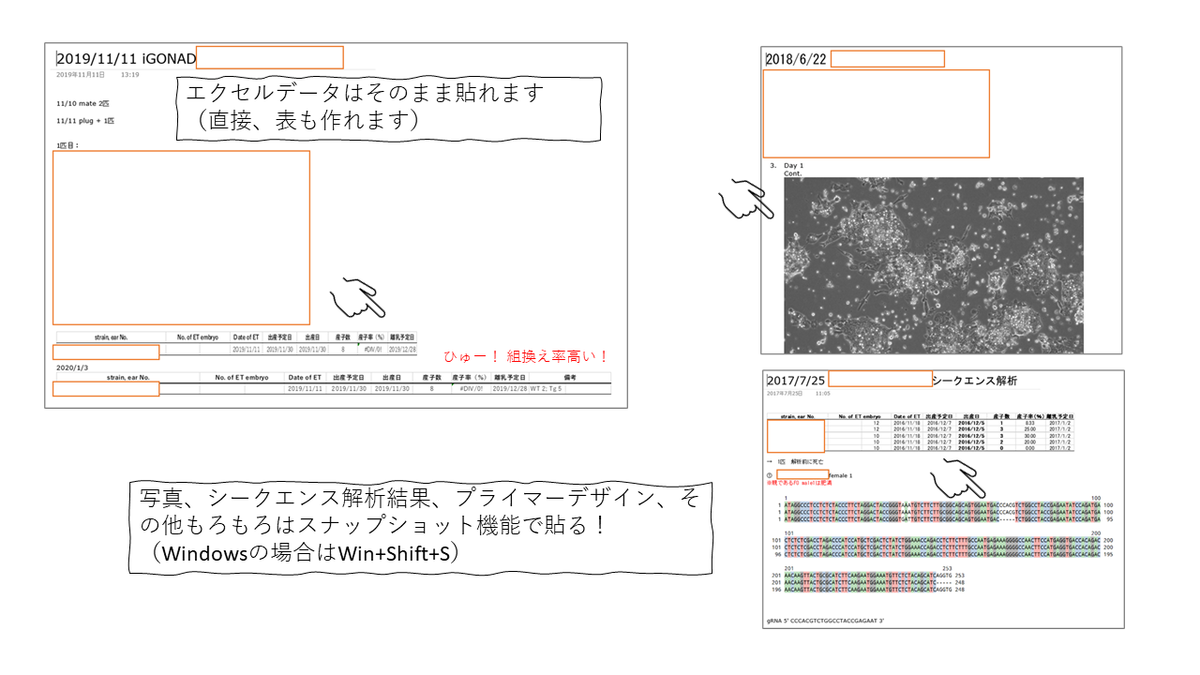 動物学特論