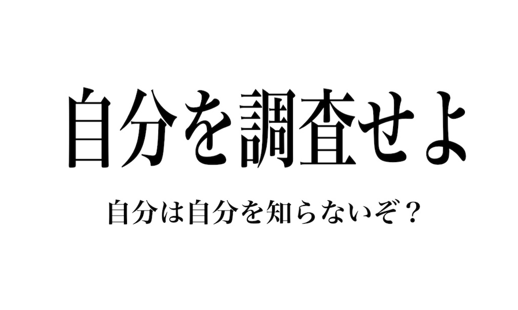 f:id:doudemoisekai:20181231011530j:image f:id:doudemoisekai:20181231011530j:image