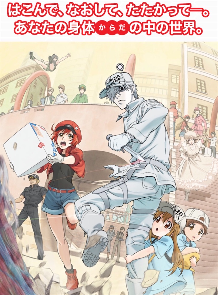 f:id:doudemoisekai:20190214131848j:image f:id:doudemoisekai:20190214131848j:image