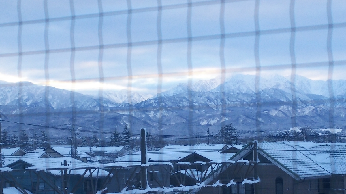 f:id:douganshufu:20220119195057j:plain