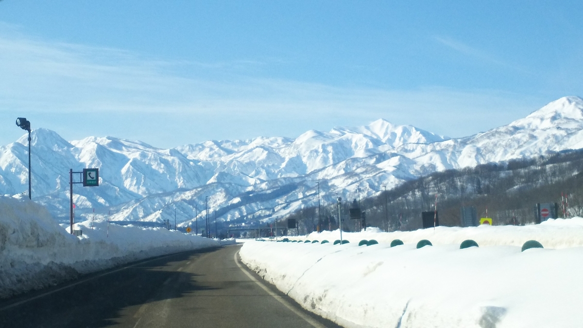 f:id:douganshufu:20220123221337j:plain