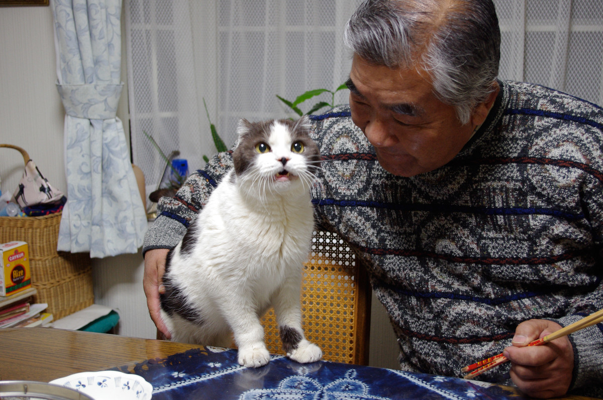 f:id:doukana:20091231194132j:plain