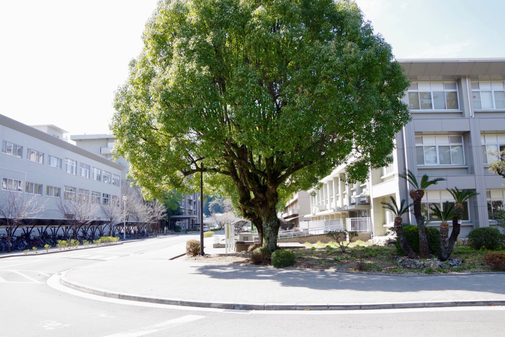 f:id:doukana:20170303062004j:plain