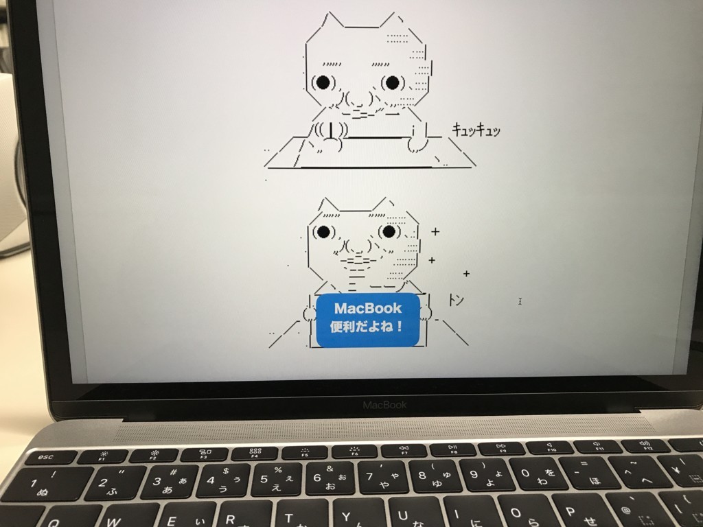 MacBook12インチ（すぐ使えます） MacBook 12インチにおすすめの使い方とは？1年使っての評価レビュー!